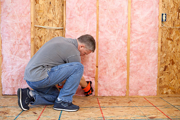 Trusted Port Orange, FL Insulation Contractor Experts